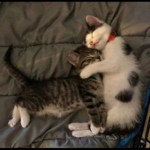 Meet your Posher, Jack